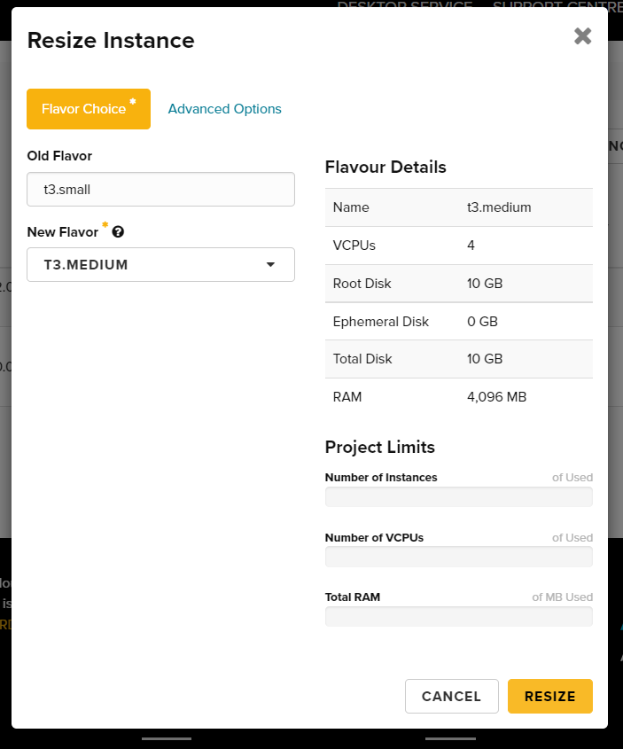Resize Instance Dialog